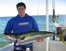 Moreton Island Fishing Charters Yellowtail Kingfish